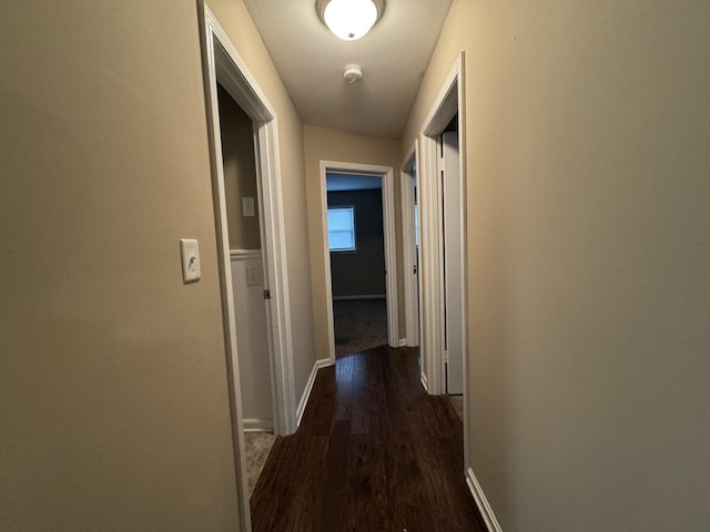 513 Adams Ct, Clarksville, TN 37040 - corridor with dark wood finished floors and baseboards