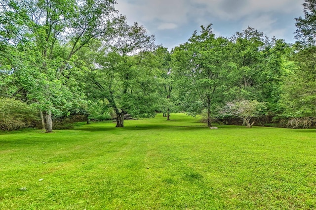 5544 S New Hope Rd, Hermitage, TN 37076 - view of green lawn
