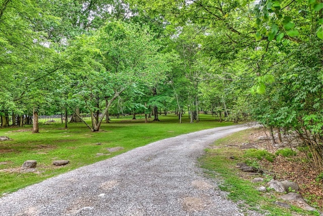 5544 S New Hope Rd, Hermitage, TN 37076 - surrounding community with gravel driveway