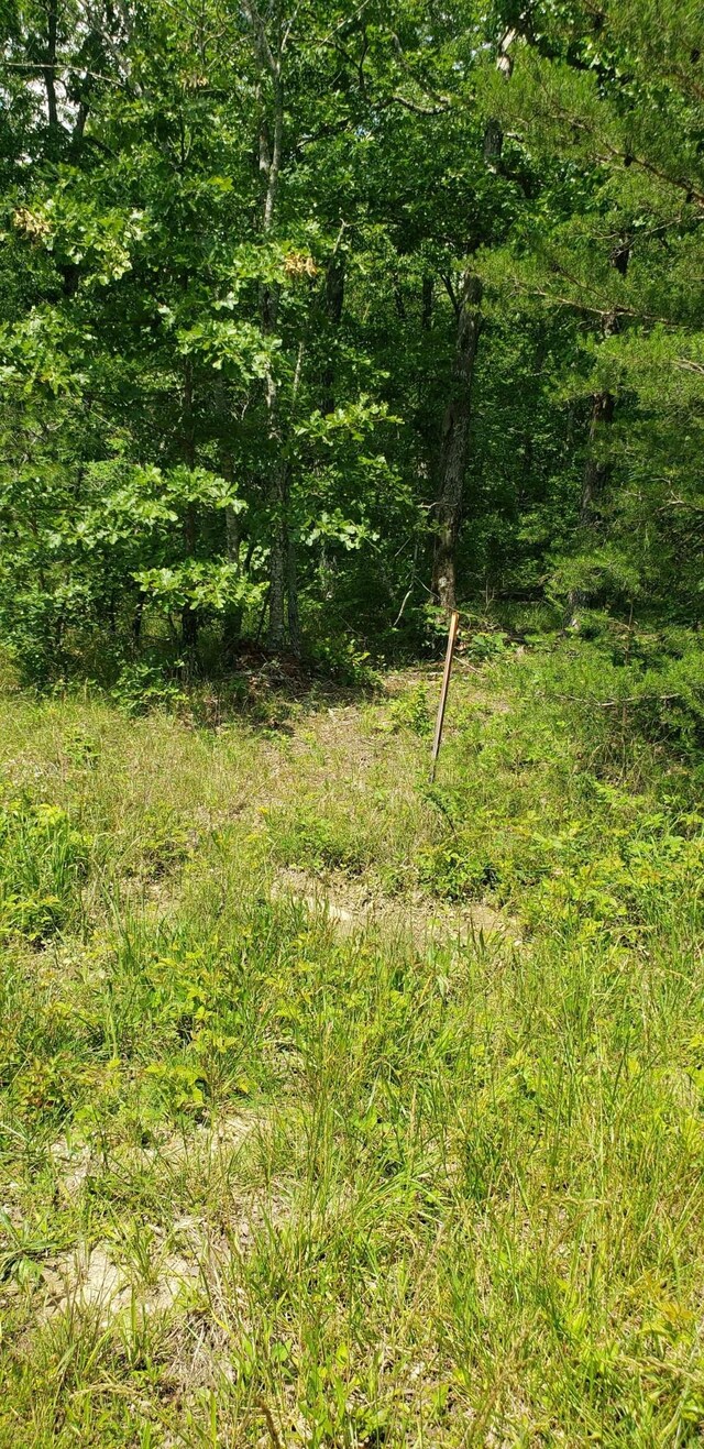 0 4th Dr, Altamont, TN 37301