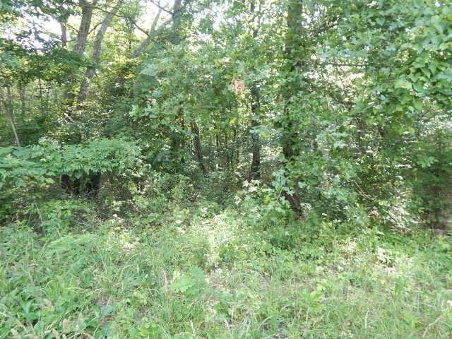 0 4th Dr, Altamont, TN 37301