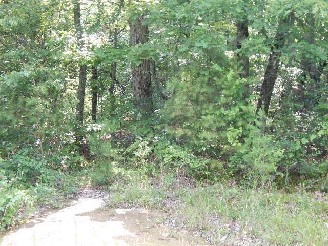 0 4th Dr, Altamont, TN 37301