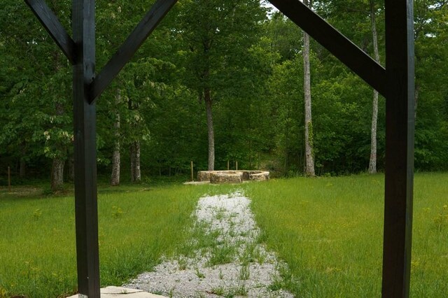 710 Baker Ter, Spencer, TN 38585 - view of yard with a wooded view