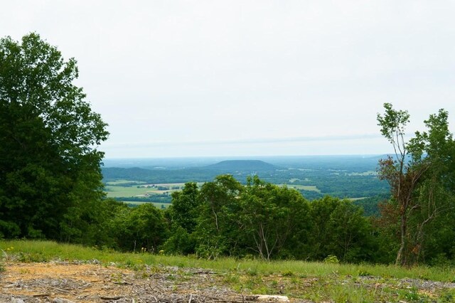 710 Baker Ter, Spencer, TN 38585 - view of mountain background with a forest