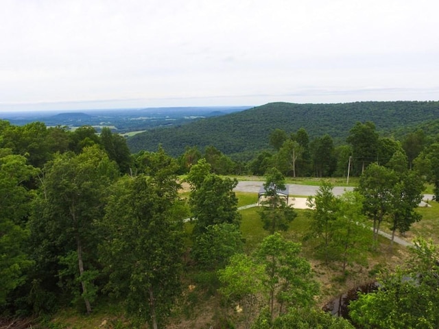 710 Baker Ter, Spencer, TN 38585 - mountain view with a forest