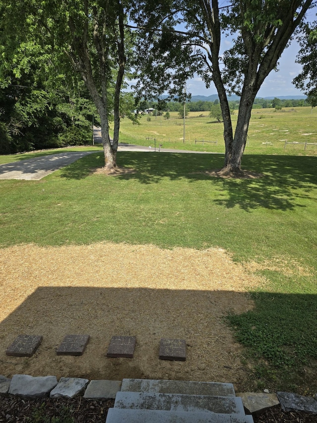21 Patton Hollow Rd, Petersburg, TN 37144 - photo 5