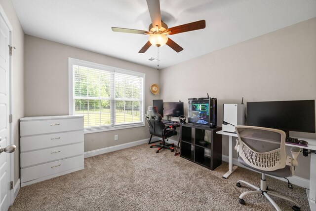 2641 Rafiki Dr, Clarksville, TN 37042 - photo 24