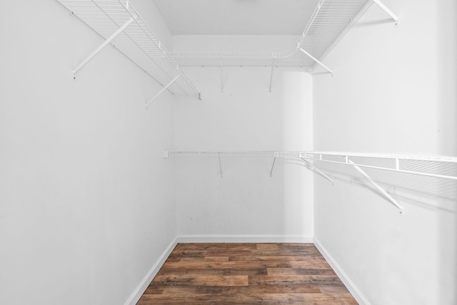 332 Meadowbrook Dr, Cadiz, KY 42211 - walk in closet with wood finished floors