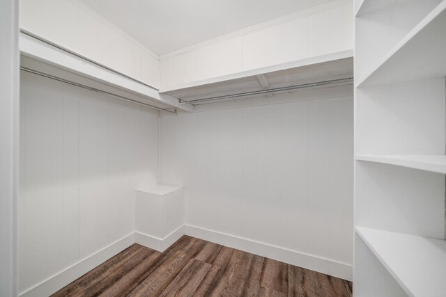 2250 Hamburg Rd, Michie, TN 38357 - spacious closet with dark wood-type flooring