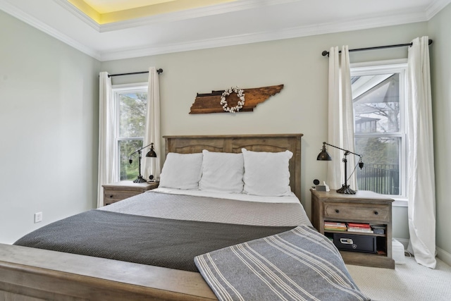 807 Caledonian Ct, Franklin, TN 37064 - bedroom featuring carpet floors and crown molding