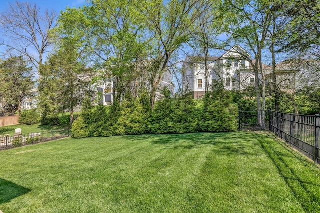 807 Caledonian Ct, Franklin, TN 37064 - view of yard