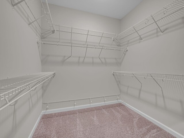 1012 Meadowview Ln, Clarksville, TN 37040 - photo 24