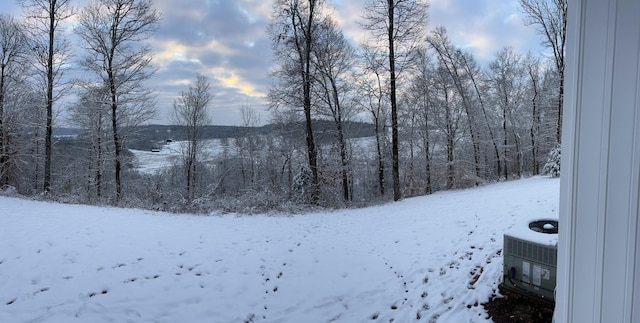 5660 Bold Springs Rd, Mc Ewen, TN 37101 - view of snowy yard