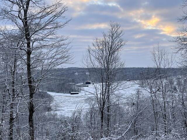 5660 Bold Springs Rd, Mc Ewen, TN 37101 - mountain view
