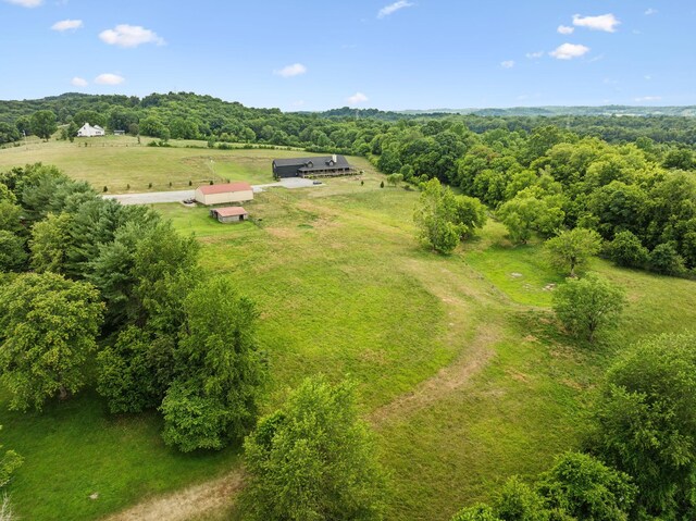 7988 Golf Club Rd, Mount Pleasant, TN 38474 - photo 57
