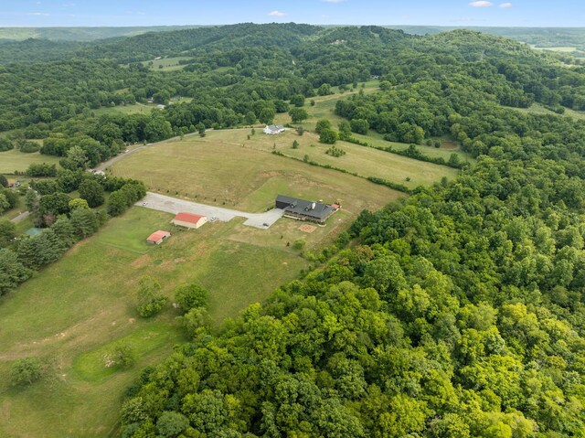 7988 Golf Club Rd, Mount Pleasant, TN 38474 - photo 4