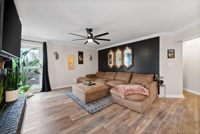 264 Avignon Way, Clarksville, TN 37043 - living room featuring wood finished floors, a ceiling fan, crown molding, and baseboards