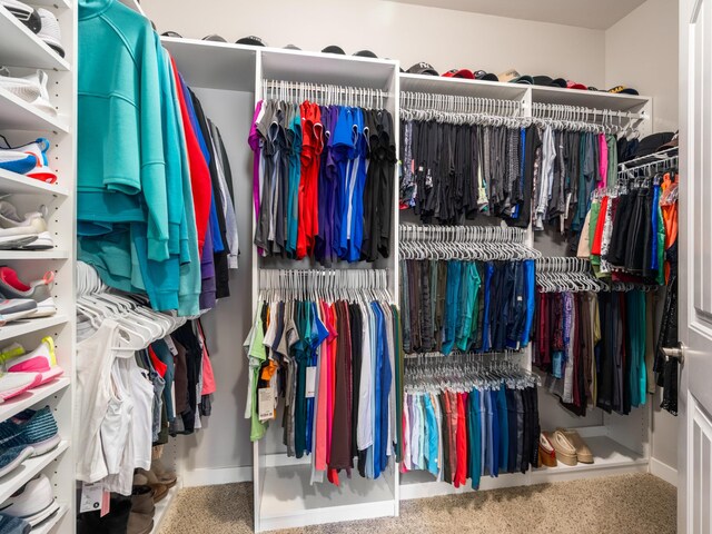1118 Litton Ave Unit 218, Nashville, TN 37216 - walk in closet featuring carpet flooring