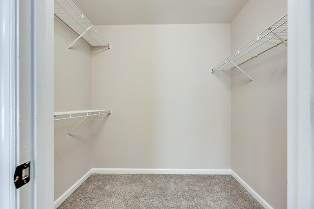 1410 Wall St, Murfreesboro, TN 37130 - spacious closet with carpet