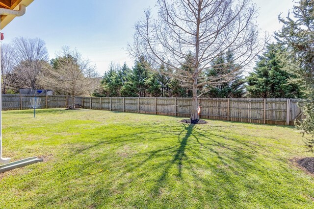 1410 Wall St, Murfreesboro, TN 37130 - view of yard
