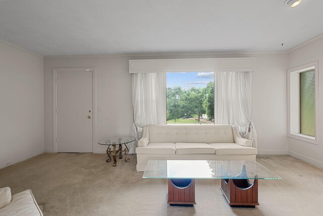 2451 Cabin Hill Rd, Nashville, TN 37214 - photo 3
