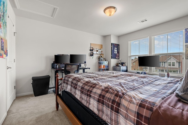 108 Rotondi Ct, Gallatin, TN 37066 - bedroom with attic access, carpet floors, and baseboards