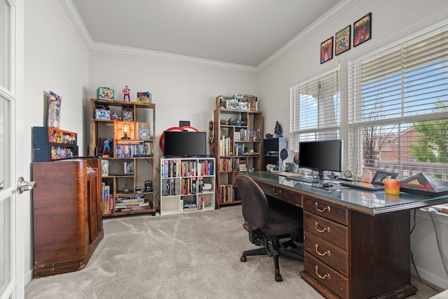 108 Rotondi Ct, Gallatin, TN 37066 - home office with ornamental molding and carpet