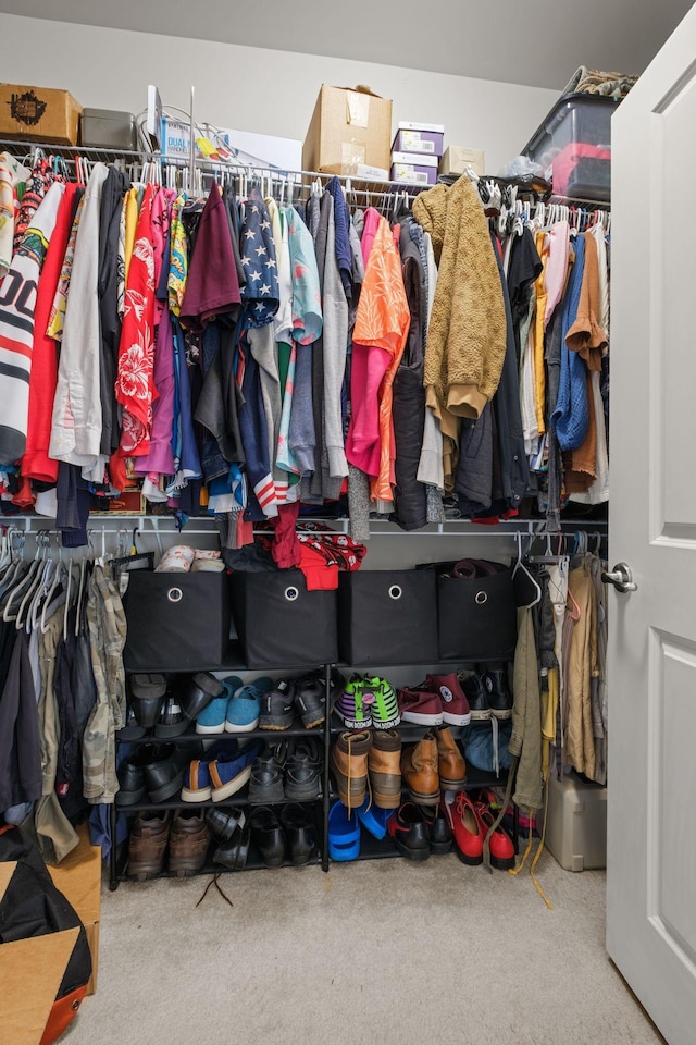 108 Rotondi Ct, Gallatin, TN 37066 - view of spacious closet