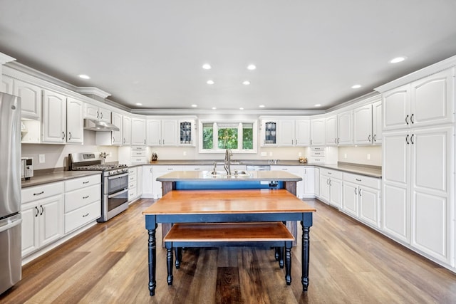 2797 Lewis Rd, Santa Fe, TN 38482 - kitchen with appliances with stainless steel finishes, under cabinet range hood, a sink, light wood-type flooring, and white cabinets