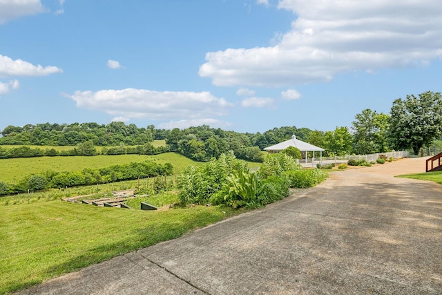 2797 Lewis Rd, Santa Fe, TN 38482 - view of green lawn