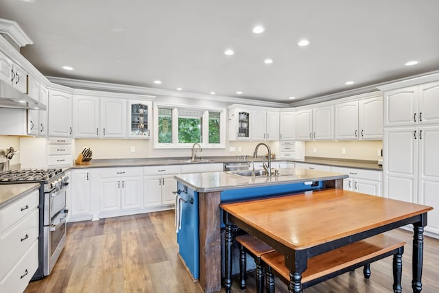 2797 Lewis Rd, Santa Fe, TN 38482 - kitchen with double oven range, a sink, recessed lighting, white cabinetry, and glass insert cabinets
