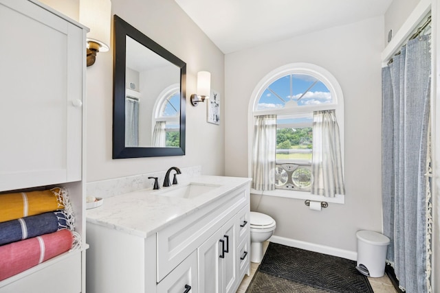 2797 Lewis Rd, Santa Fe, TN 38482 - full bath featuring toilet, vanity, baseboards, and tile patterned floors