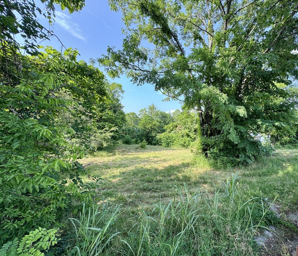 2324 Les Robinson Rd, Columbia, TN 38401
