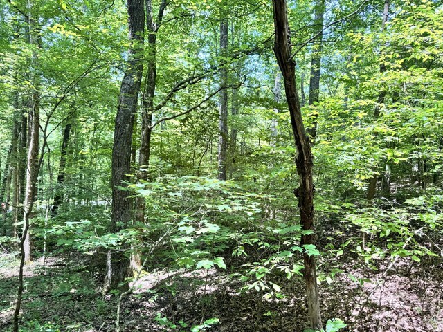 0 Brush Creek Rd, Lawrenceburg, TN 38464