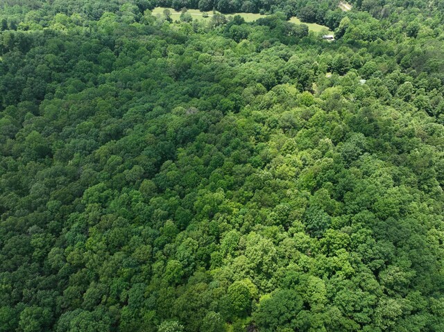 0 Brush Creek Rd, Lawrenceburg, TN 38464