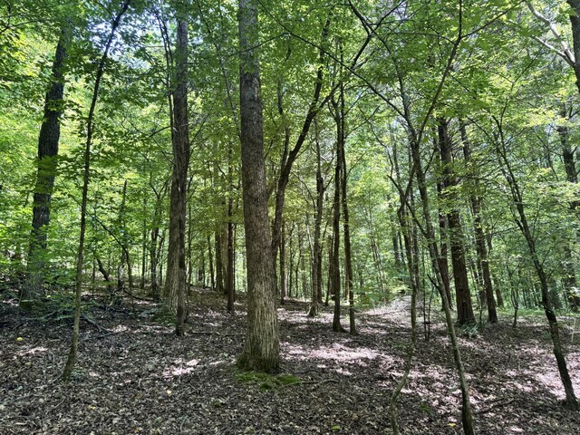 0 Brush Creek Rd, Lawrenceburg, TN 38464