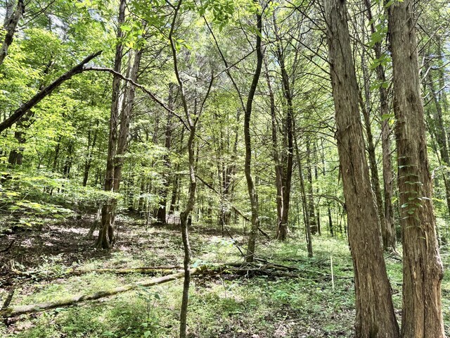 0 Brush Creek Rd, Lawrenceburg, TN 38464