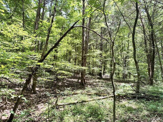 0 Brush Creek Rd, Lawrenceburg, TN 38464