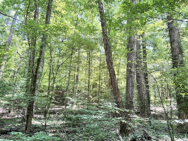 0 Brush Creek Rd, Lawrenceburg, TN 38464