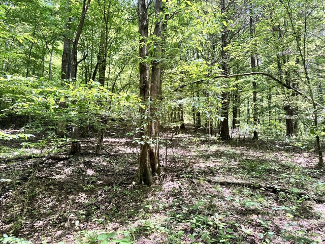 0 Brush Creek Rd, Lawrenceburg, TN 38464