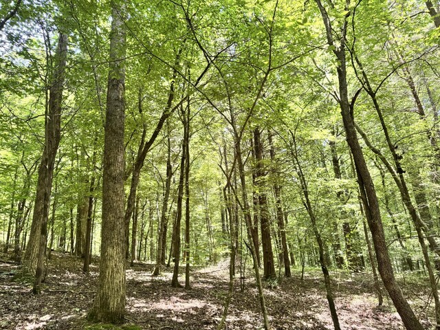 0 Brush Creek Rd, Lawrenceburg, TN 38464