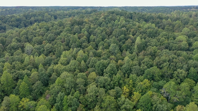 841 Mccord Hollow Rd, Hohenwald, TN 38462 - drone / aerial view of a forest