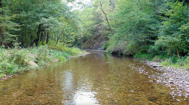 841 Mccord Hollow Rd, Hohenwald, TN 38462 - water view with a heavily wooded area