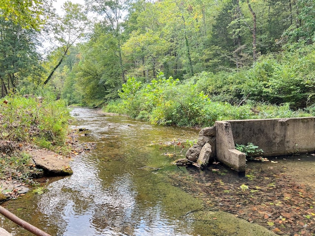 841 Mccord Hollow Rd, Hohenwald, TN 38462 - water view with a forest
