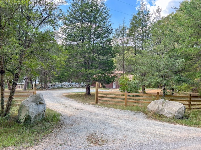 841 Mccord Hollow Rd, Hohenwald, TN 38462 - view of dirt / gravel road
