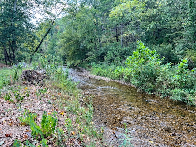 841 Mccord Hollow Rd, Hohenwald, TN 38462 - view of wooded area