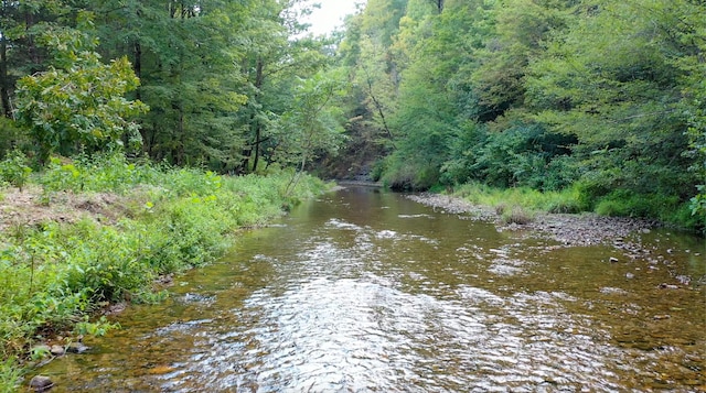 841 Mccord Hollow Rd, Hohenwald, TN 38462 - water view with a forest