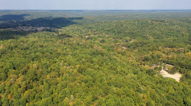 841 Mccord Hollow Rd, Hohenwald, TN 38462 - aerial view of a forest