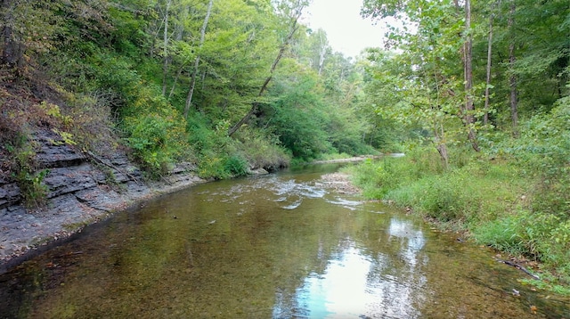 841 Mccord Hollow Rd, Hohenwald, TN 38462 - water view featuring a heavily wooded area