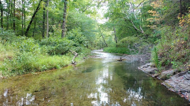 841 Mccord Hollow Rd, Hohenwald, TN 38462 - water view with a forest